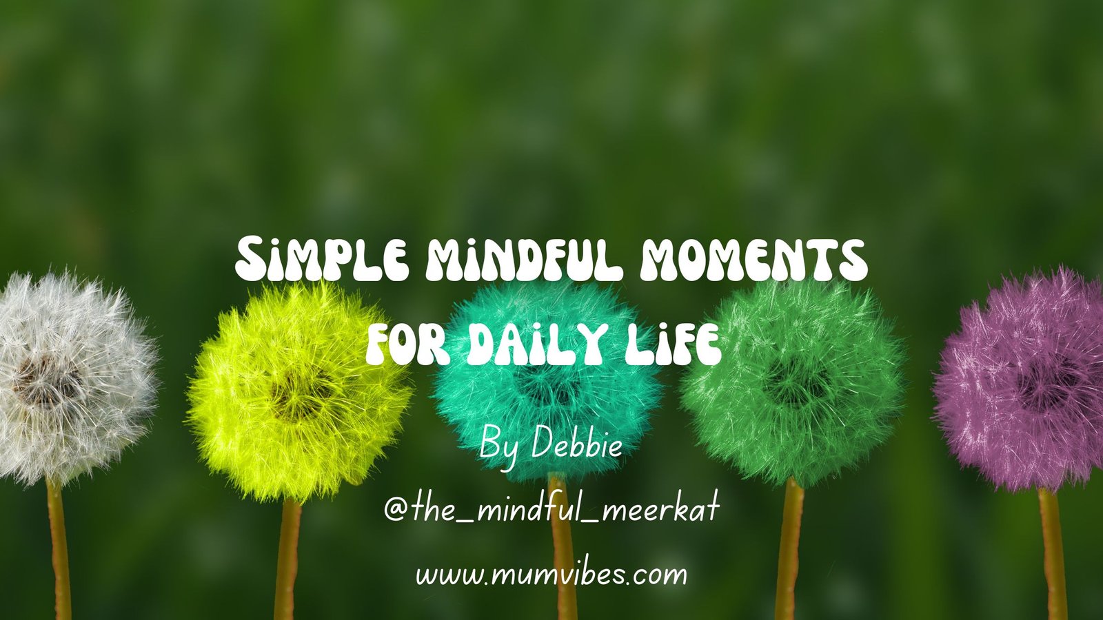 simple mindful moments for daily life