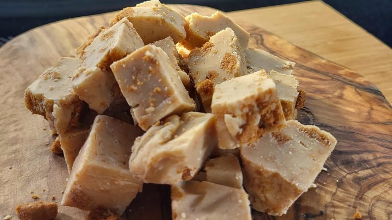 best biscoff fudge