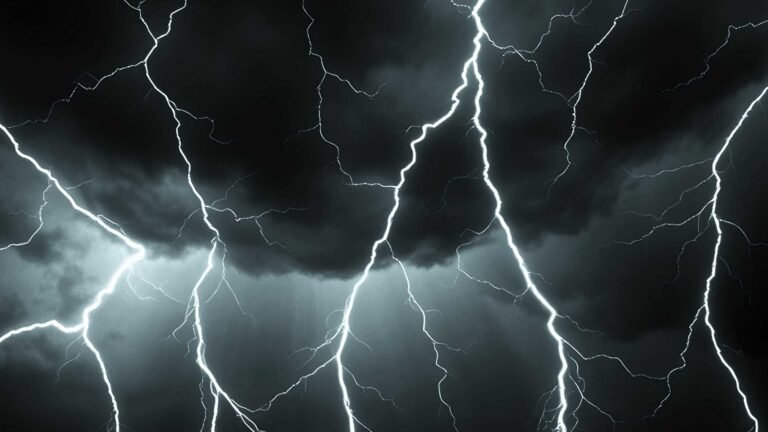 The photo shoes a dark black sky with several white lightning strikes across it