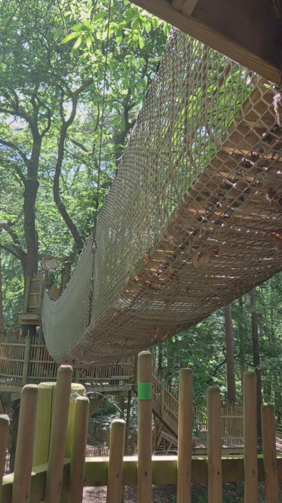 The photo shows a wide rope bridge suspended between two trees