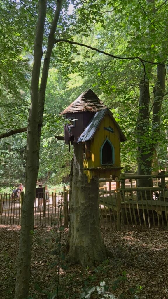 The photo shows a little yellow wooden house in a tree